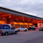 ขนส่งต้นไม้ ไปต่างประเทศ